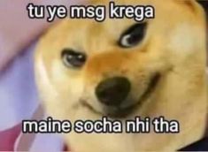 a brown dog with black eyes and a smile on it's face that says tuye msg krega maine socha