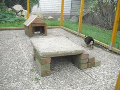 a cat is standing in the middle of an enclosed area with a bench and dog house