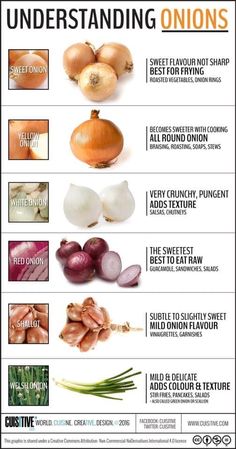 an info sheet with onions and onions on it