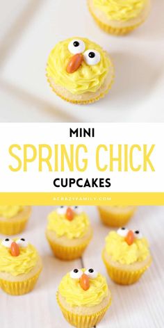 mini spring chick cupcakes with yellow frosting and eyes