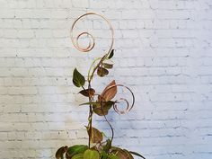 a potted plant with green leaves and vines on the side of a white brick wall