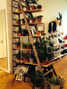 a wooden ladder filled with lots of potted plants