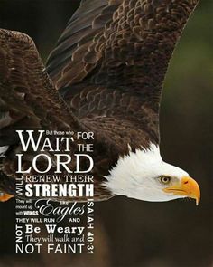 an eagle flying with the words be strong heart take courage hope in the lord psalm 31 24