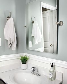 a white sink sitting under a bathroom mirror next to a bottle of water and a potted plant