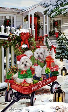 two white dogs are riding in a red wagon with presents on the front and side