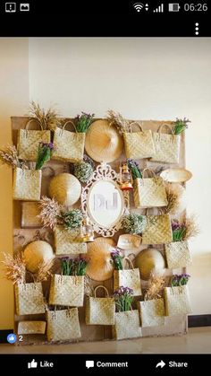 a wall with baskets and plants on it