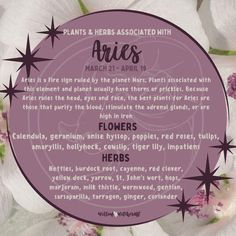 Herbs For Aries, Herbs Of Aries, Aries Witchcraft, Aries Correspondences, Aries Herbs, April Magick, Aries Core, Aries Flower