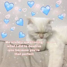 a white cat laying on top of a bed next to a wall with blue hearts