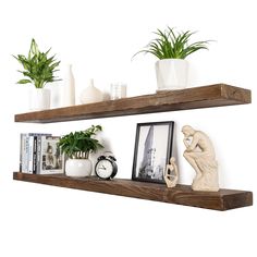 two wooden shelves with plants and pictures on them