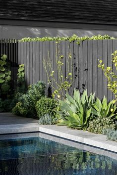 a pool surrounded by greenery next to a wooden fence