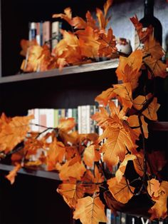 some bookshelves with yellow leaves on them