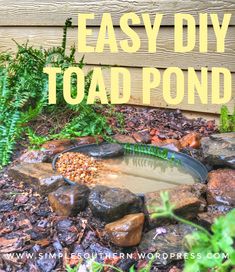 an easy diy toad pond in the garden with text overlay that reads, easy diy toad pond