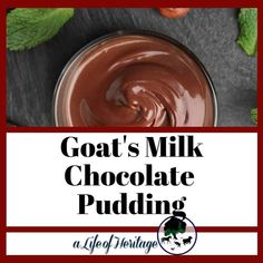 goat's milk chocolate pudding in a bowl with mint leaves on the side and text overlay that reads goat's milk chocolate pudding