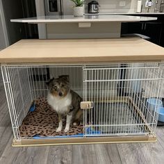 a dog sitting in a cage on top of a floor next to a kitchen counter