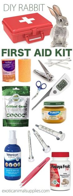 the contents of a diy rabbit first aid kit