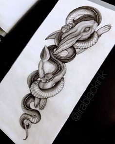 a drawing of a snake wrapped around a snake