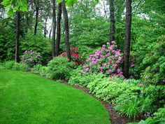 a lush green lawn surrounded by trees and bushes with pink flowers in the foreground