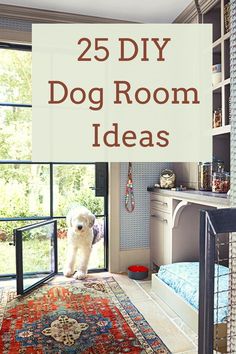 a white dog standing in the doorway of a room with an area rug on the floor