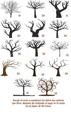 the different types of trees that are in each tree, and how to cut them