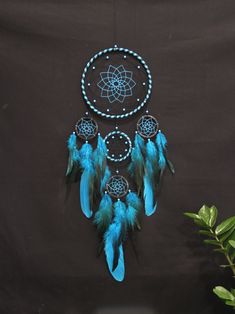 a blue dream catcher with beads and feathers on it's side next to a potted plant