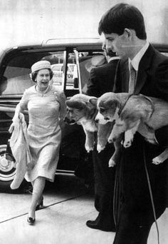 a man and woman are walking with puppies