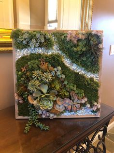 an art piece with succulents and moss on it