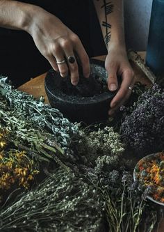 Mortar & pestle Magia Das Ervas, Yennefer Of Vengerberg, Green Fairy, Witch Aesthetic, Kitchen Witch, Green Witch, Witchy Vibes, Healing Herbs, Twilight Sparkle