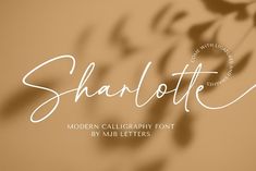 shalotte modern calligraphy font with shadows on the wall and below it is an image of leaves