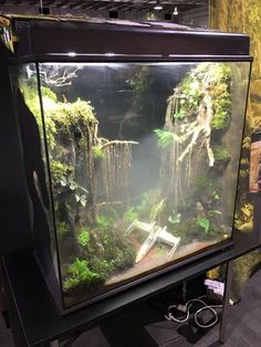 an aquarium filled with lots of plants and water in front of a black stand on the floor