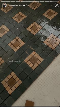 an image of a tiled floor that is wet and needs to be cleaned or stained