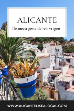 a balcony with potted plants and the words alcante on it