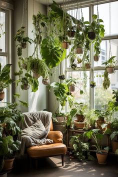 a living room filled with lots of plants and hanging potted plants on the windowsill