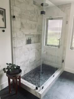 a walk in shower sitting inside of a bathroom next to a plant on a table