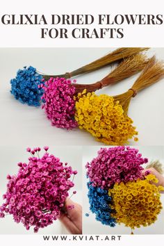 three different types of flowers with text overlay that says, glixa dried flowers for crafts