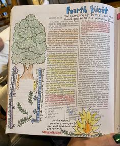 an open bible with pictures of trees on it