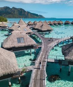 a wooden walkway leads to over water huts with thatched roofs on the ocean floor