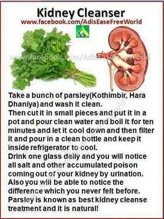 kidney cleanse - pour boiling water over parsley, let it cool, filter this water and chill. Kidney Detox, Kidney Cleanse, Healthy Detox, Healing Herbs, Detox Cleanse, Natural Medicine, Detox Drinks