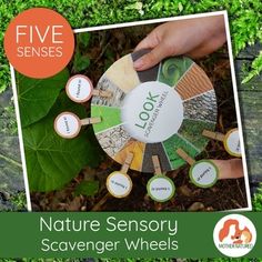 the nature sensory scavenger wheels are in front of green plants and leaves