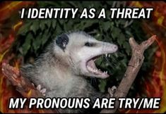 an animal with its mouth open and the words i identify as a threat to my pronouns are tryme