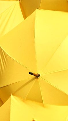 several open umbrellas are shown in this close up shot, some yellow and one is black