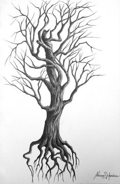 a pencil drawing of a tree with its roots exposed and no leaves on the branches