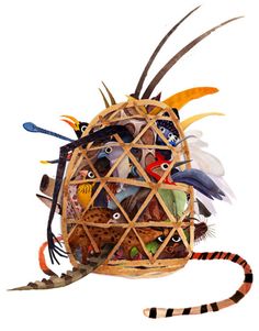 a basket filled with lots of different types of feathers and birds on top of each other