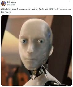 'My Tesla Robot' Meme Hilariously Predicts How We'll Treat Bots