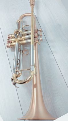 an old brass trumpet is hanging on the side of a white wooden wall and floor