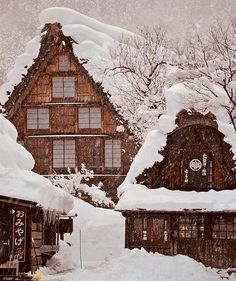 snow covered houses and trees in the background