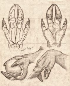 the hands and feet are shown in this drawing