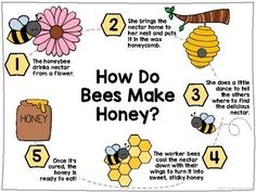 how do bees make honey? poster with beehive, honeycombs and flowers