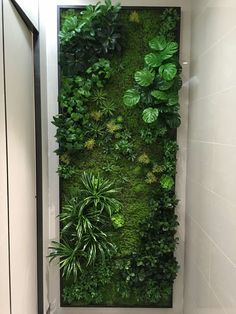 a green wall in the corner of a bathroom