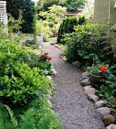 a garden filled with lots of plants next to a building