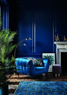 a living room with blue walls and a large potted plant in front of the fireplace